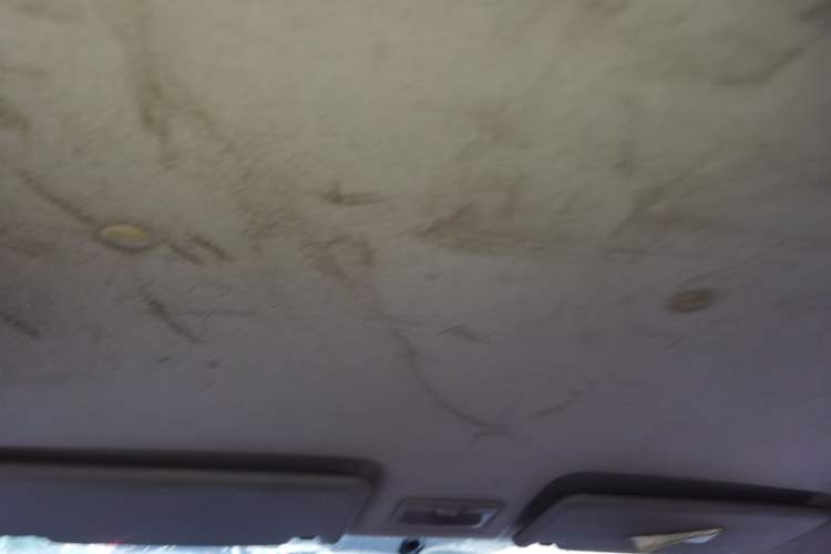 Used CHANGAN OSHAN Olisway 2013 1.2L Manual Elite Model Headliner