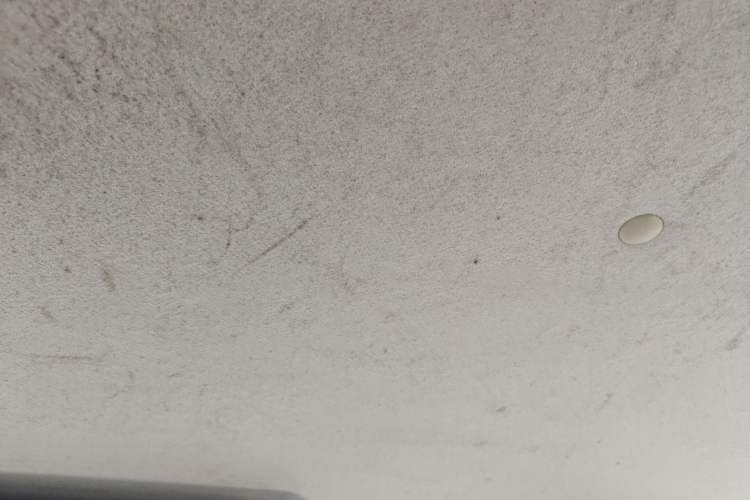 Used CHANGAN OSHAN Olisway 2014 1.4L AMT Luxury Model Headliner