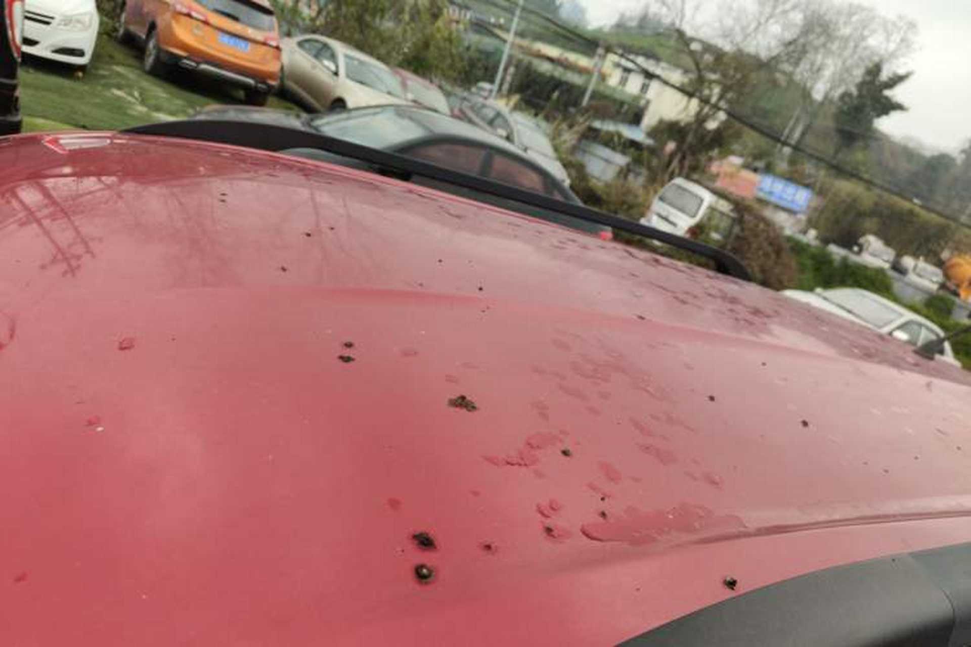 Used CHANGAN OSHAN Olisway 2014 1.4L AMT Luxury Model Roof