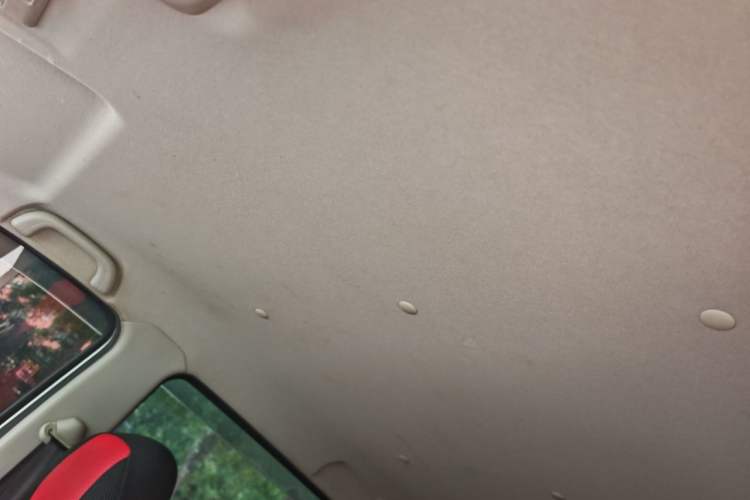 Used CHANGAN OSHAN Olisway 2015 1.2L Manual Enjoyment Model Headliner