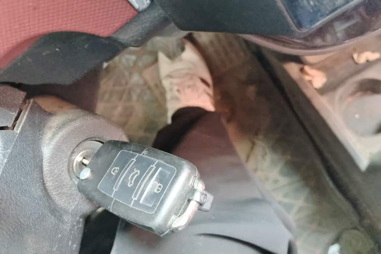 Used CHANGAN OSHAN Olisway EV 2017 Elite Model Vehicle Key