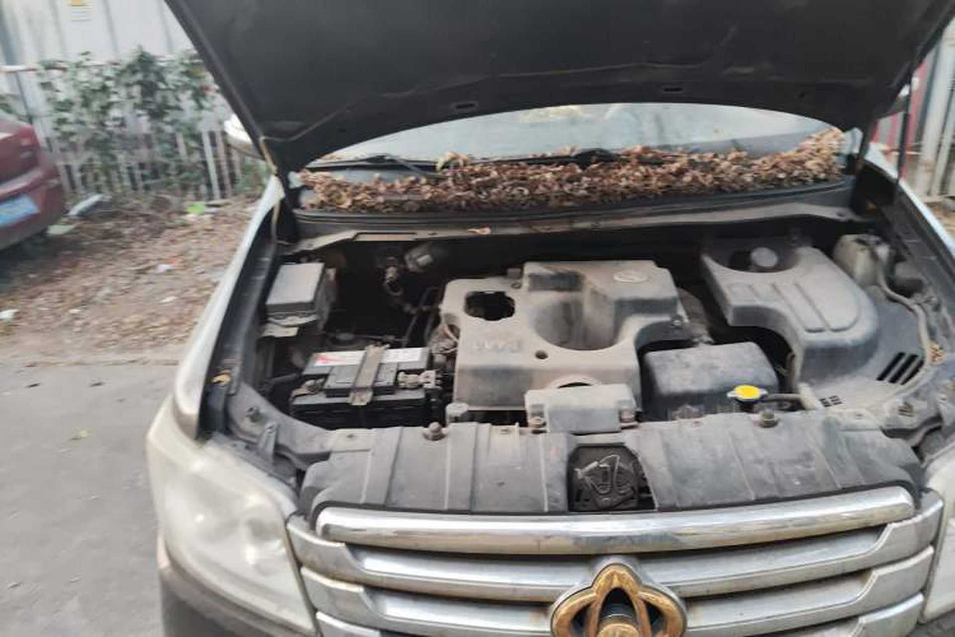 Used CHANGAN OSHAN Ounuo S 2015 1.5L Jin Ouno Elite Model Engine Bay Right