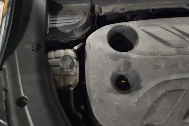 Used CHANGAN OSHAN X5 2021 1.5T DCT Flagship Edition Engine Bay Right
