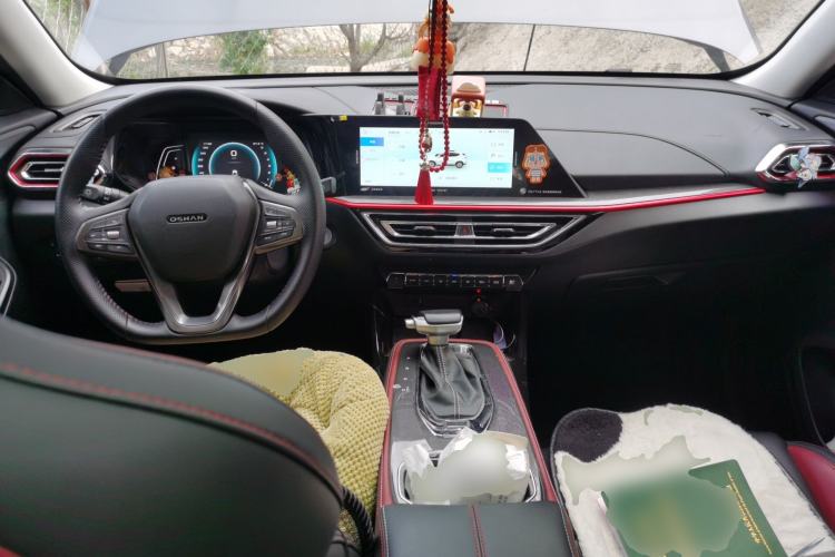 Used CHANGAN OSHAN X5 2021 1.5T DCT Luxury Edition Center Console