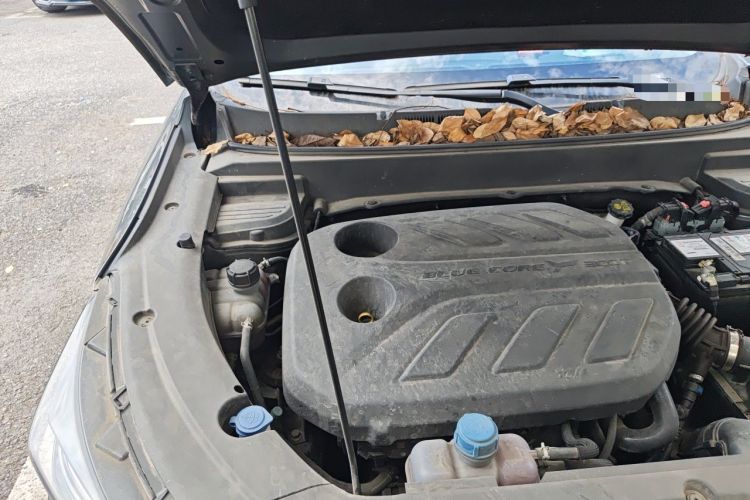 Used CHANGAN OSHAN X5 2021 1.5T DCT Prestige Edition Engine Bay Right