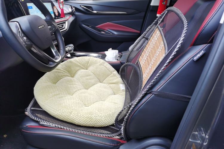 Used CHANGAN OSHAN X5 2021 1.5T DCT Luxury Edition Left Front Seat