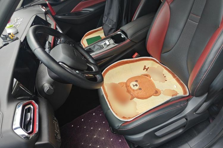 Used CHANGAN OSHAN X5 2021 1.5T DCT Prestige Edition Left Front Seat