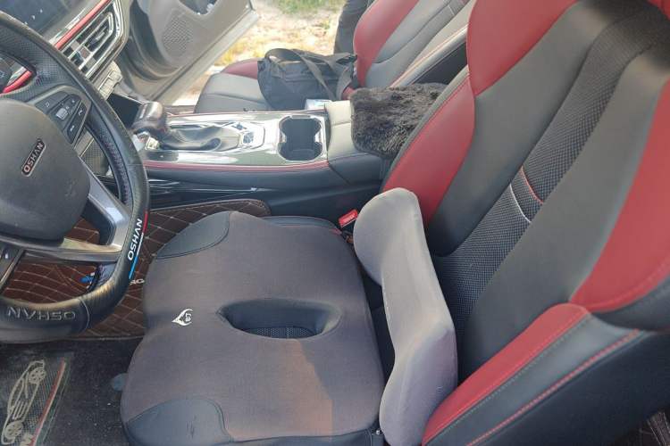 Used CHANGAN OSHAN X5 2021 1.5T DCT Luxury Edition Left Front Seat