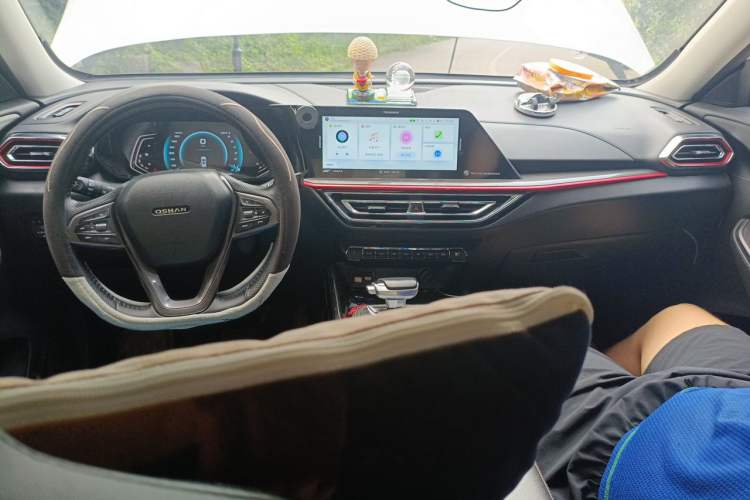 Used CHANGAN OSHAN X5 2021 1.5T DCT Prestige Edition Center Console