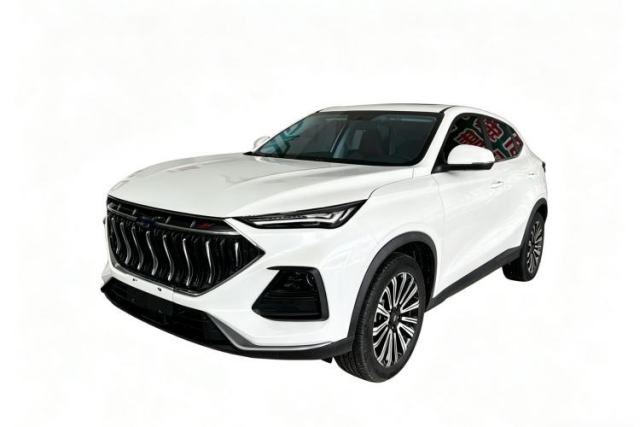 Used CHANGAN OSHAN X5 2021 1.5T DCT Prestige Edition