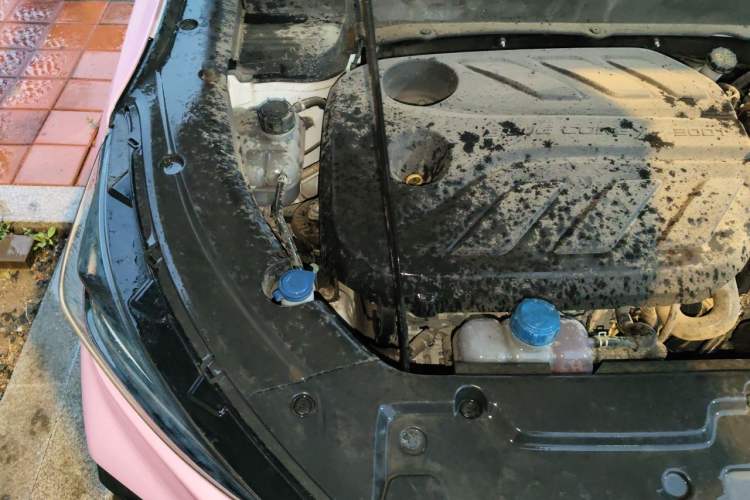 Used CHANGAN OSHAN X5 2021 1.5T DCT Flagship Edition Engine Bay Right