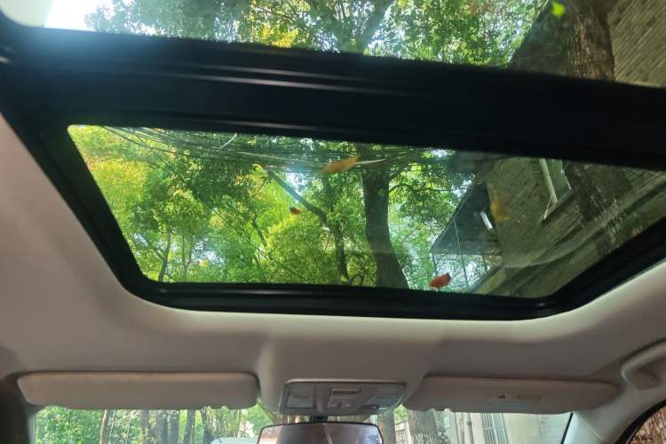 Used CHANGAN OSHAN X5 2021 1.5T DCT Flagship Edition Headliner