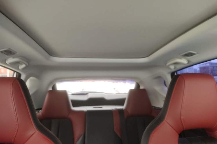 Used CHANGAN OSHAN X5 2021 1.5T DCT Flagship Edition Headliner