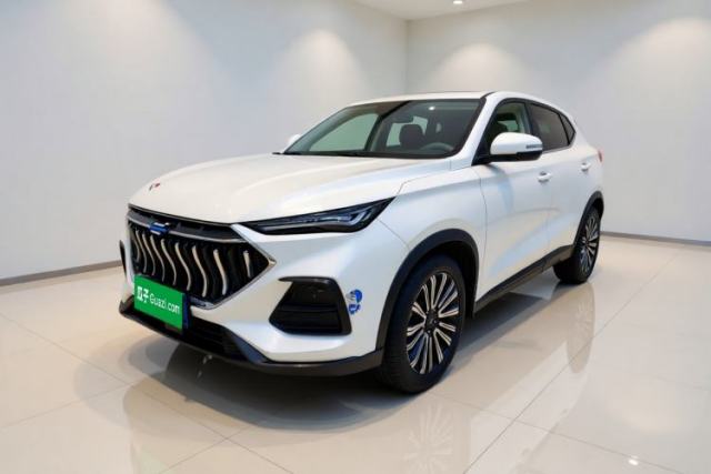 Used CHANGAN OSHAN X5 2021 1.5T DCT Luxury Edition