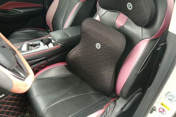 Used CHANGAN OSHAN X5 2021 1.5T DCT Flagship Edition Left Front Seat