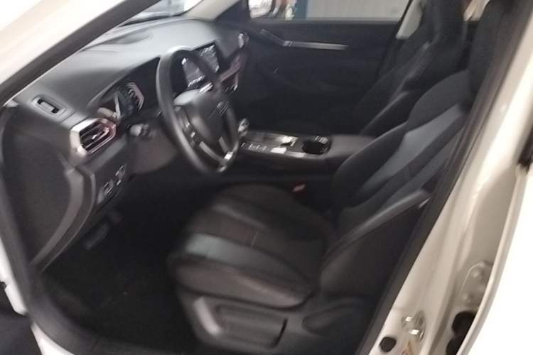 Used CHANGAN OSHAN X5 2021 1.6L CVT Luxury Model Left Front Seat
