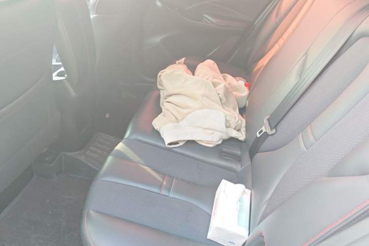 Used CHANGAN OSHAN X5 2021 1.6L CVT Luxury Model Left Rear Seat