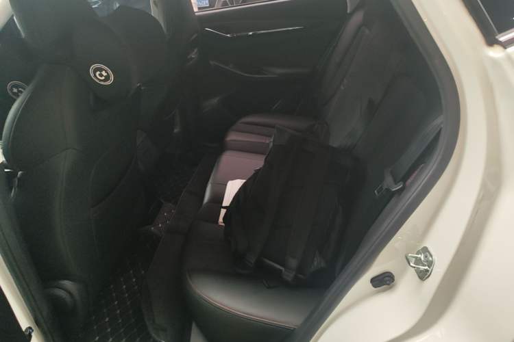 Used CHANGAN OSHAN X5 2021 1.6L CVT Luxury Model Left Rear Seat