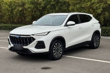 Used CHANGAN OSHAN X5 2021 1.5T DCT Luxury Edition