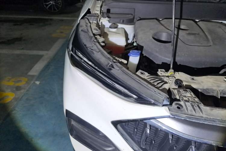 Used CHANGAN OSHAN X5 2021 Revised Version 1.6L Manual Luxury Edition Right Front Headlight