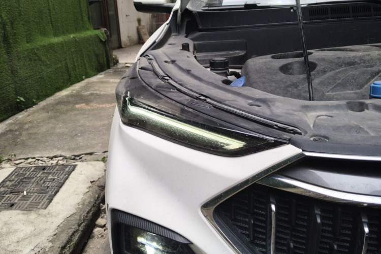 Used CHANGAN OSHAN X5 2021 1.5T DCT Prestige Edition Right Front Headlight