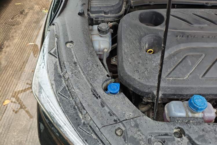 Used CHANGAN OSHAN X5 2022 Sport Edition 1.5T DCT Hurricane Sonic Engine Bay Right