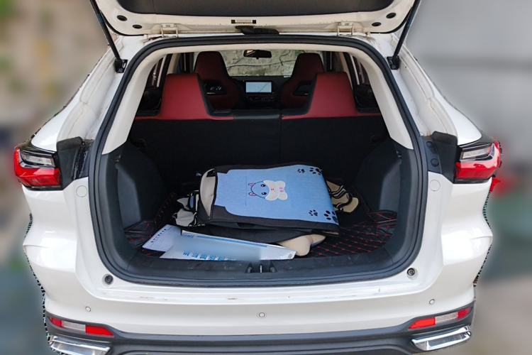 Used CHANGAN OSHAN X5 2022 Sport Edition 1.5T DCT Cyclone Assault Trunk