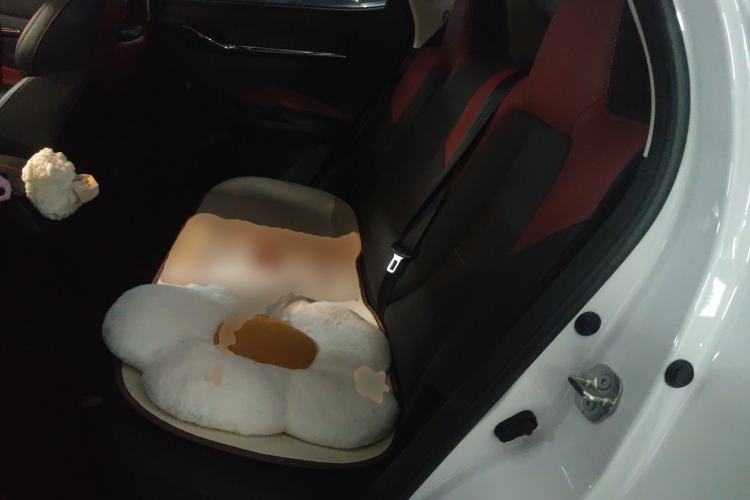 Used CHANGAN OSHAN X5 2023 Enjoy Edition 1.5T DCT Luxury Model Left Rear Seat