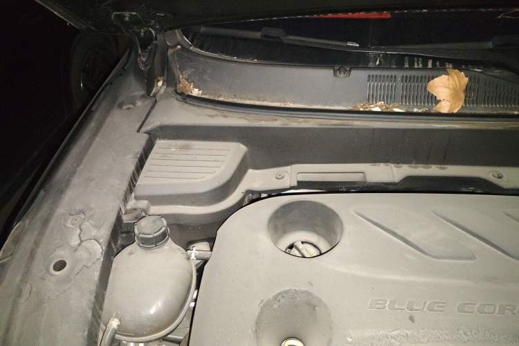 Used CHANGAN OSHAN X5 PLUS 2023 1.5T DCT Excellence Edition Engine Bay Right