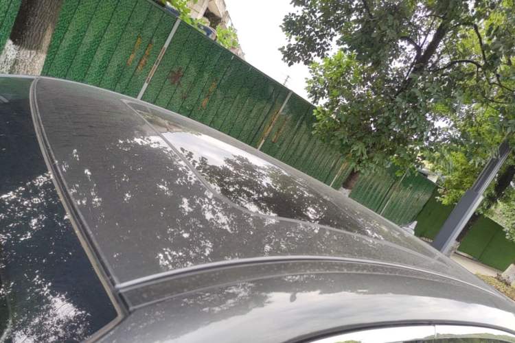 Used CHANGAN OSHAN X5 PLUS 2023 Revised 1.5T DCT Pioneer Edition Roof