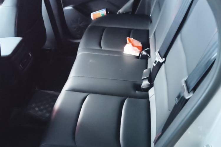 Used CHANGAN OSHAN X5 PLUS 2023 1.5T DCT Navigation Edition Left Rear Seat