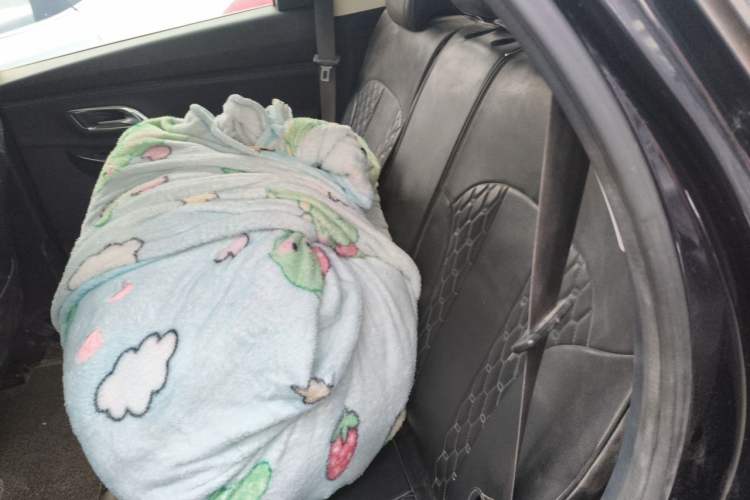 Used CHANGAN OSHAN X7 2020 1.5T Automatic Elite Edition Left Rear Seat