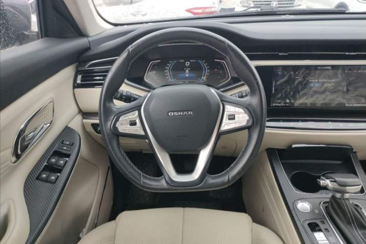 Used CHANGAN OSHAN X7 2020 1.5T Automatic Flagship Edition Interior 3