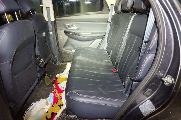 Used CHANGAN OSHAN X7 2020 1.5T Automatic Luxury Version Left Rear Seat