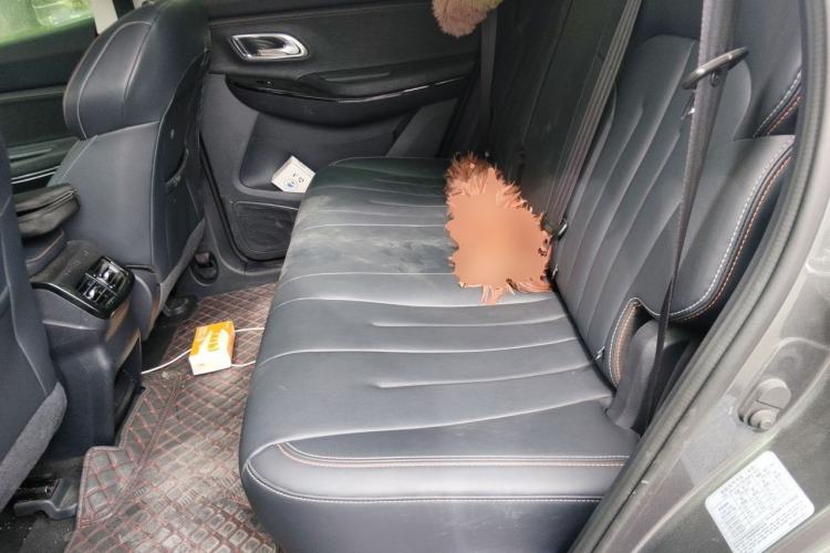 Used CHANGAN OSHAN X7 2020 1.5T Automatic Luxury Model Left Rear Seat