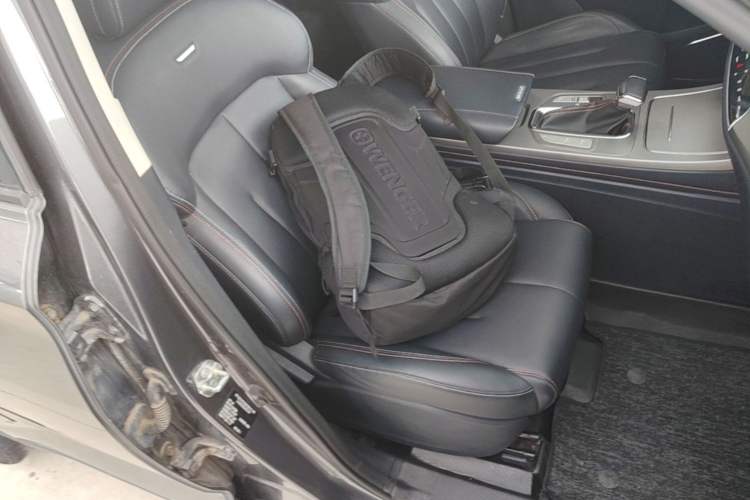 Used CHANGAN OSHAN X7 2020 1.5T Automatic Luxury Version Right Front Seat