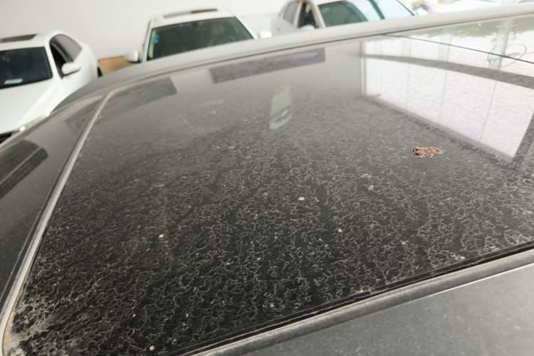 Used CHANGAN OSHAN X7 2020 1.5T Automatic Luxury Model Roof