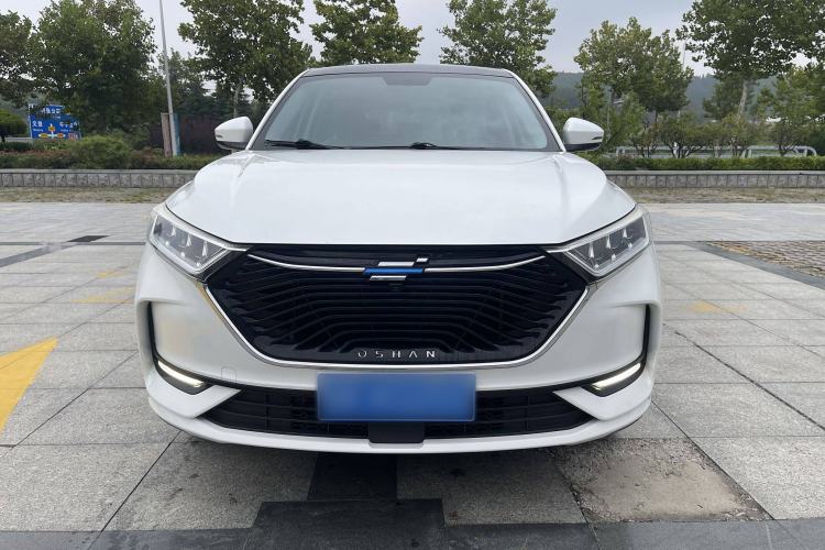 Used CHANGAN OSHAN X7 2020 1.5T Manual Luxury Version Exterior 1