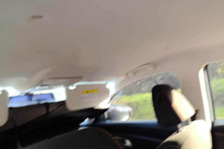 Used CHANGAN OSHAN X7 2020 1.5T Automatic Elite Edition Headliner