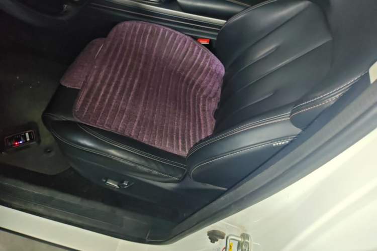 Used CHANGAN OSHAN X7 2020 1.5T Automatic Luxury Model Left Front Seat