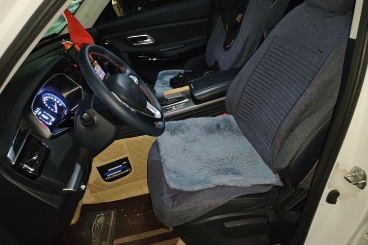 Used CHANGAN OSHAN X7 2020 1.5T Automatic Luxury Version Left Front Seat