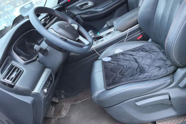 Used CHANGAN OSHAN X7 2020 1.5T Automatic Luxury Version Left Front Seat