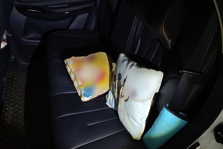 Used CHANGAN OSHAN X7 2020 1.5T Automatic Pilot Edition Left Rear Seat