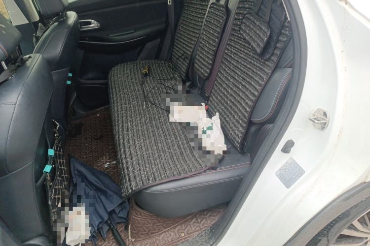 Used CHANGAN OSHAN X7 2020 1.5T Automatic Luxury Version Left Rear Seat