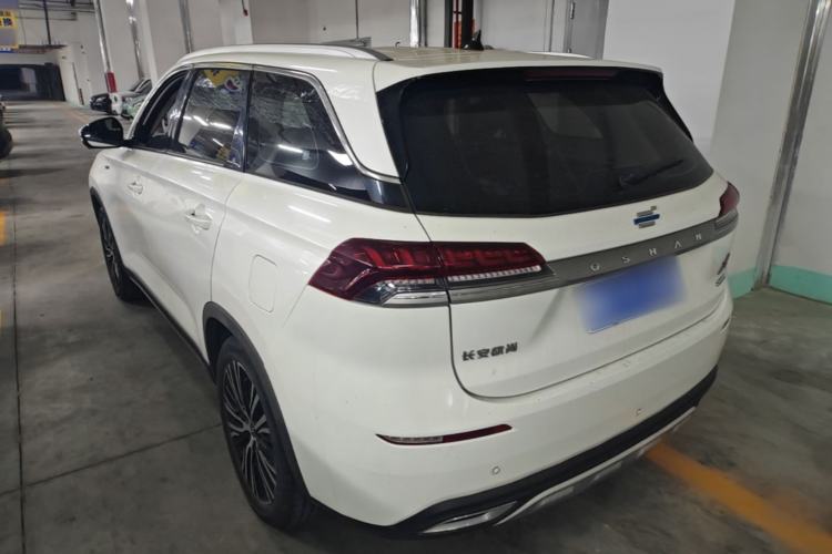 Used CHANGAN OSHAN X7 2020 1.5T Automatic Luxury Model Rear Left 45 Deg