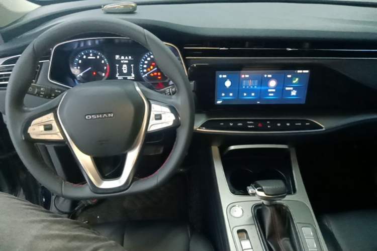 Used CHANGAN OSHAN X7 2021 1.5T Automatic Luxury Version Center Console