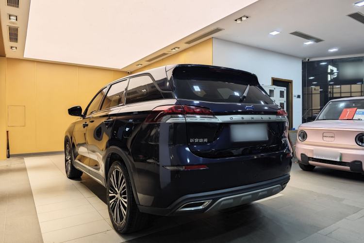 Used CHANGAN OSHAN X7 2021 1.5T Manual Luxury Version Exterior 11