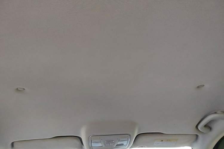 Used CHANGAN OSHAN X7 2021 1.5T Automatic Elite Edition Headliner