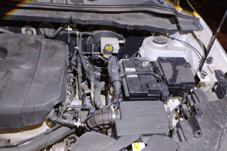 Used CHANGAN OSHAN X7 2021 1.5T Automatic Luxury Model Engine Bay Left