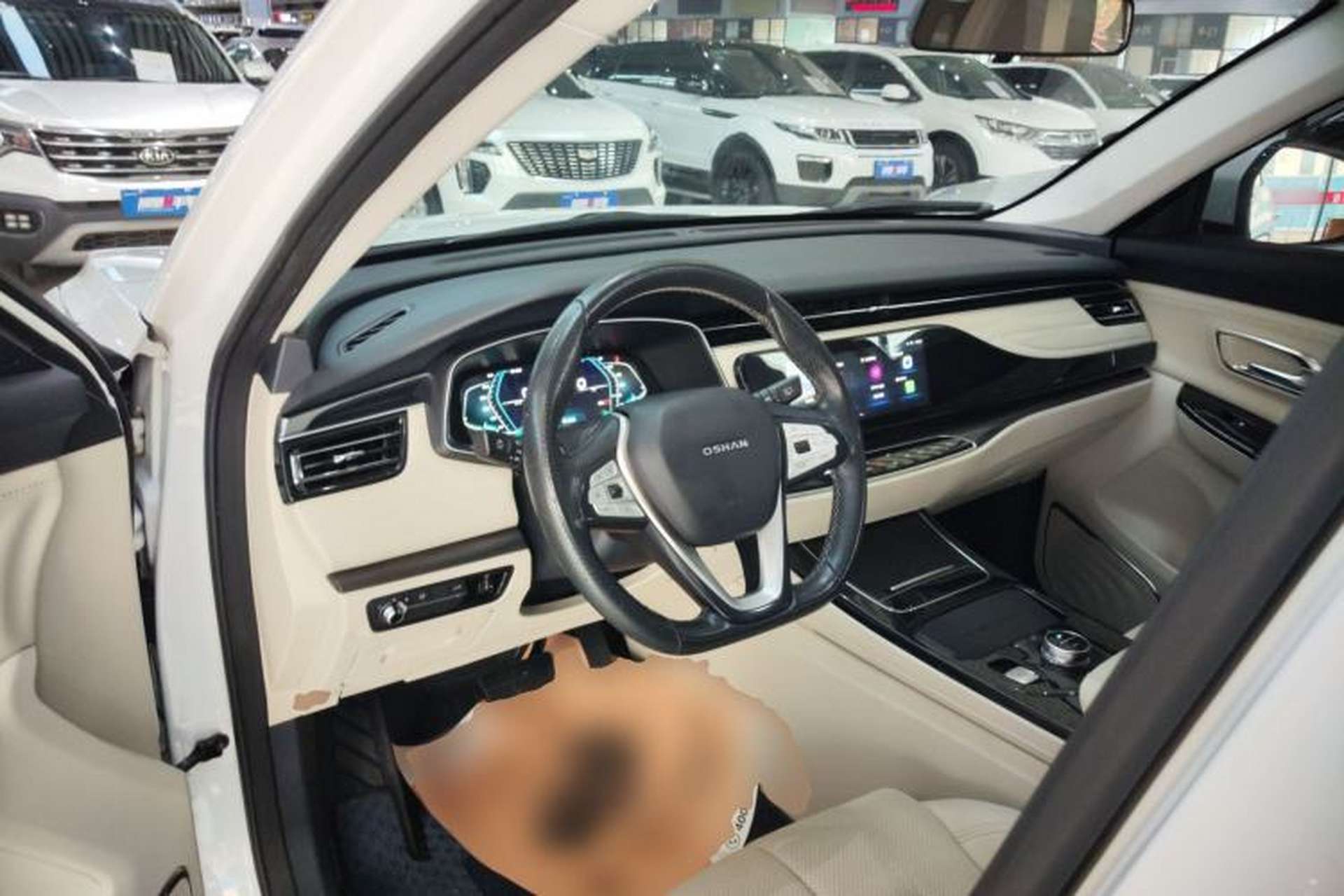 Used CHANGAN OSHAN X7 EV 2020 Luxury Edition 405 Center Console